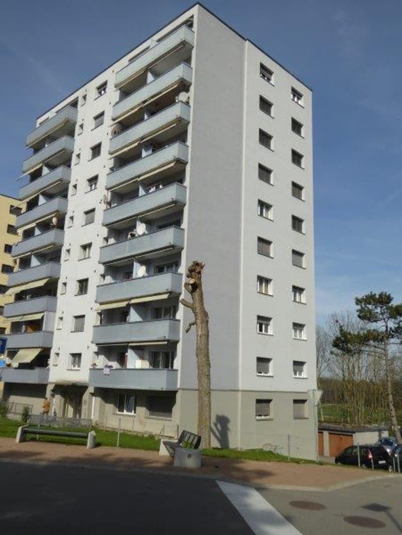 magnifique studio (1)
