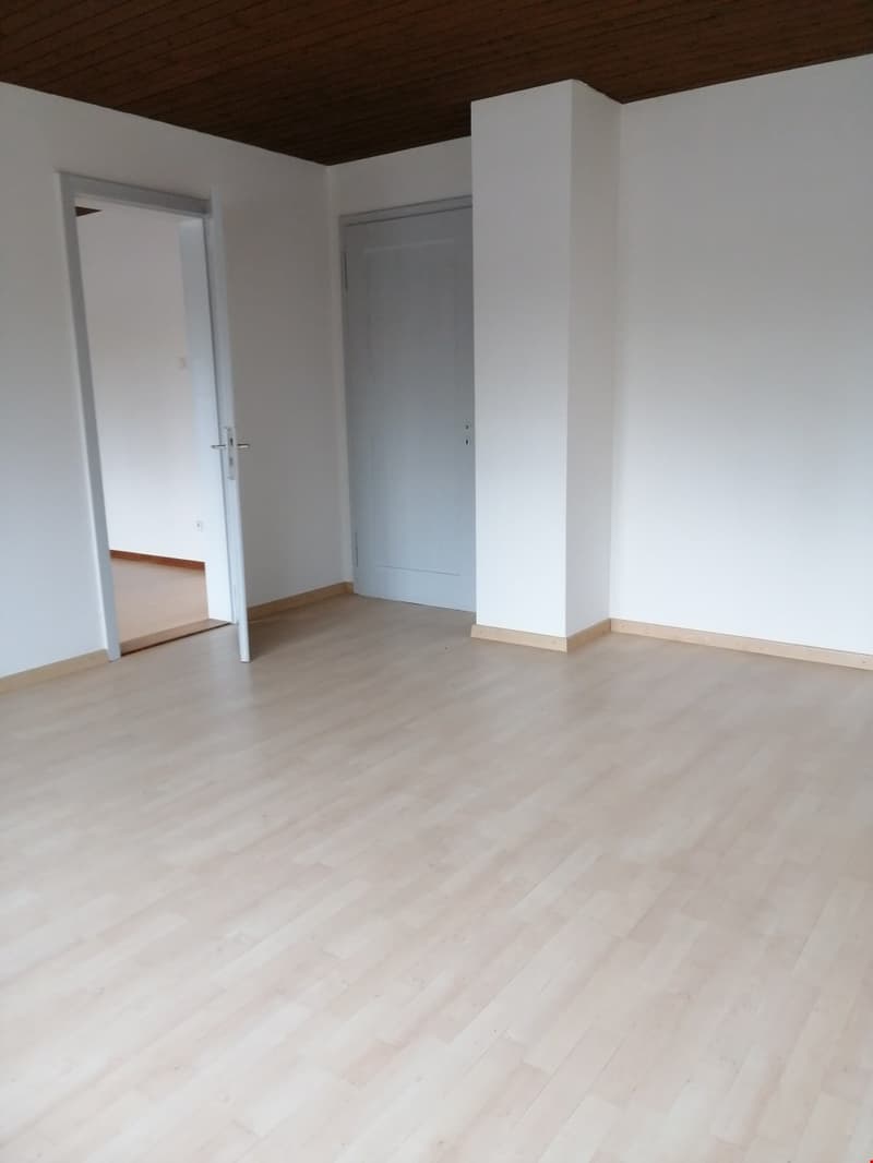 Schöne, helle 2.5 Zimmerwohnung zu vermieten (4)