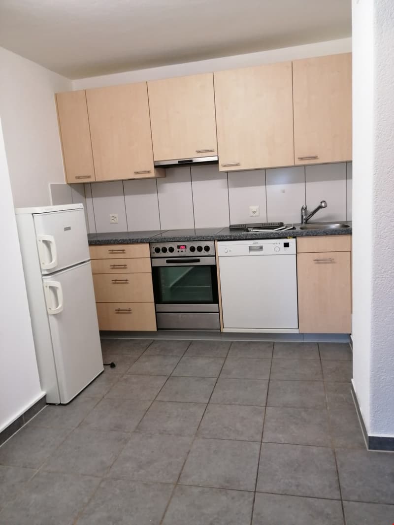 Schöne, helle 2.5 Zimmerwohnung zu vermieten (3)