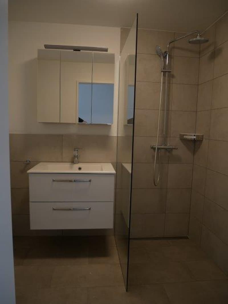 Duplex Wohnung zum vermieten! (4)