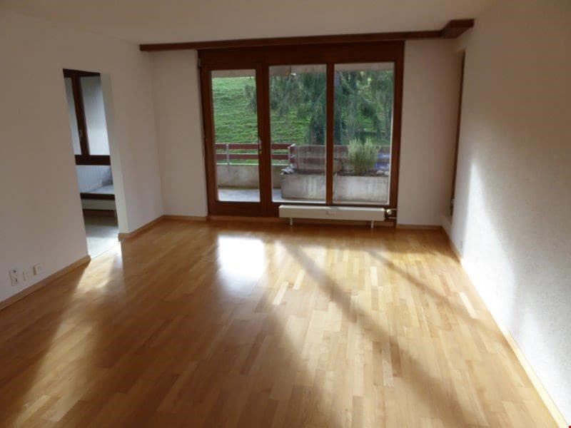 wunderschöne, helle, 4.5 Zimmerwohnung in schöner Umgebung (2)