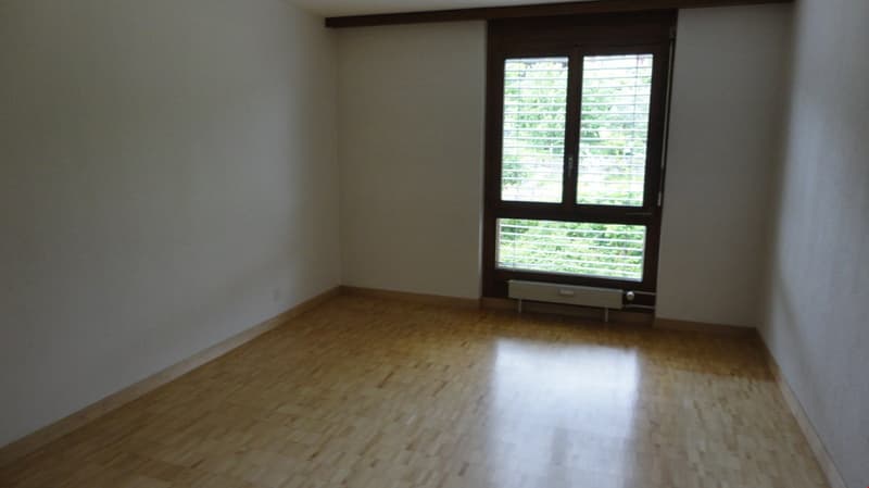 wunderschöne, helle, 4.5 Zimmerwohnung in schöner Umgebung (3)