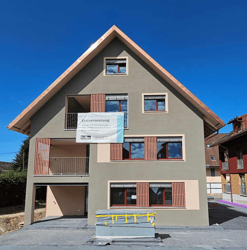 Grosse, helle 3 1/2-Zimmer-Neubauwohnung (1)