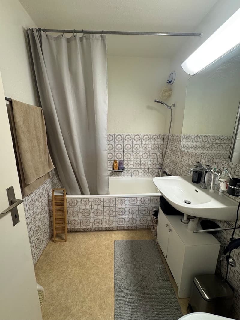 Wohnung an idealer Lage (5)
