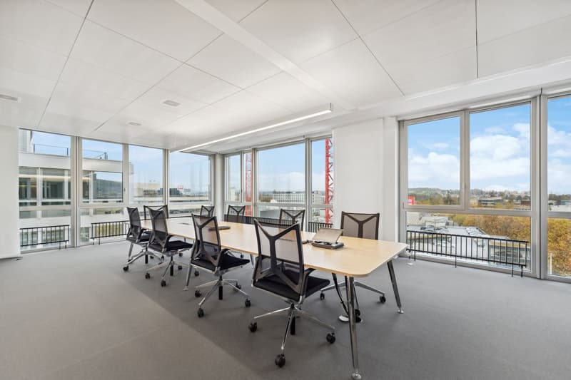 Long conference table, office chairs, large windows, gray carpet