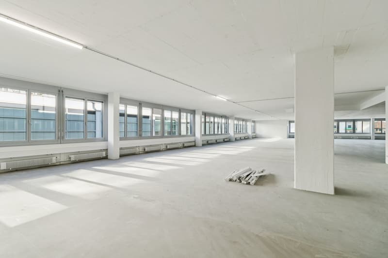 open space, white walls, concrete floor, multiple large windows, white ceiling with embedded lighting