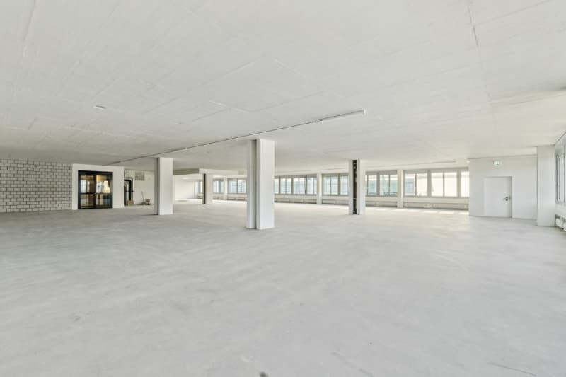spacious white room, large windows, white ceilings, white floor, pillars, doors