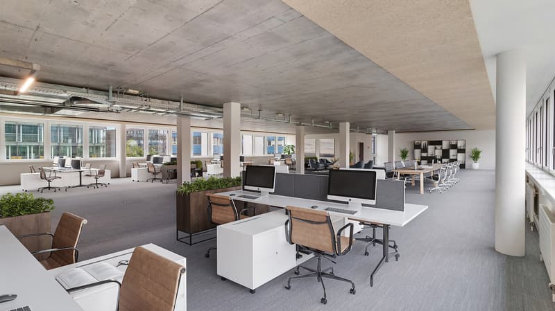 Spacious open office space, multiple desk setups, white walls and ceiling, modern furnishings, central lighting, glass windows, interior plants, large office furniture, high visibility.