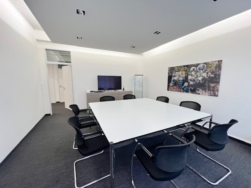 Ready-to-occupy beautiful offices with parking spaces near Zurich Enge train station (3)
