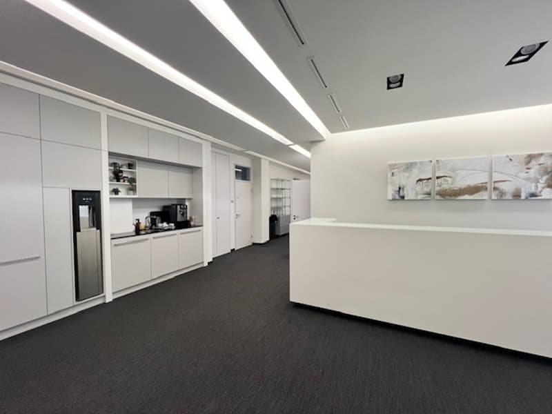 Ready-to-occupy beautiful offices with parking spaces near Zurich Enge train station (5)