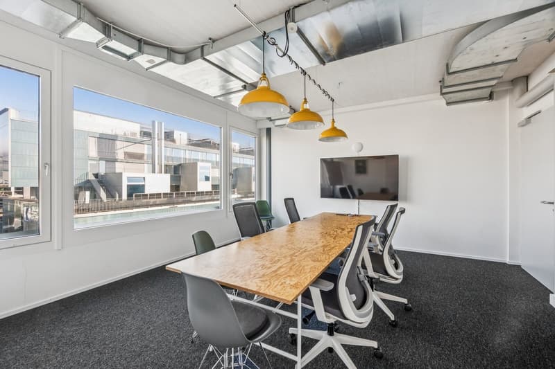 Modern offices with beautiful terrace near Hardbrücke (8)