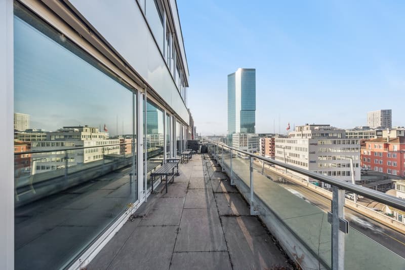 Modern offices with beautiful terrace near Hardbrücke (10)