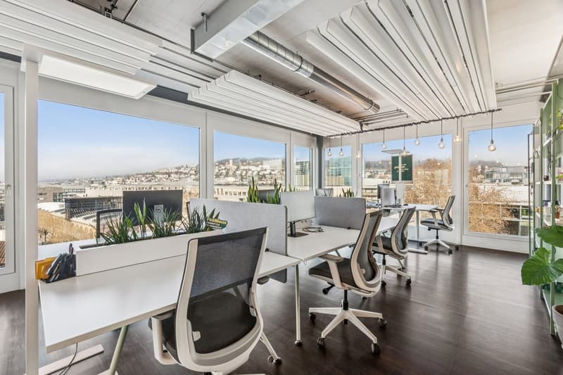 Modern offices with beautiful terrace near Hardbrücke (3)
