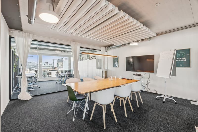 Modern offices with beautiful terrace near Hardbrücke (5)
