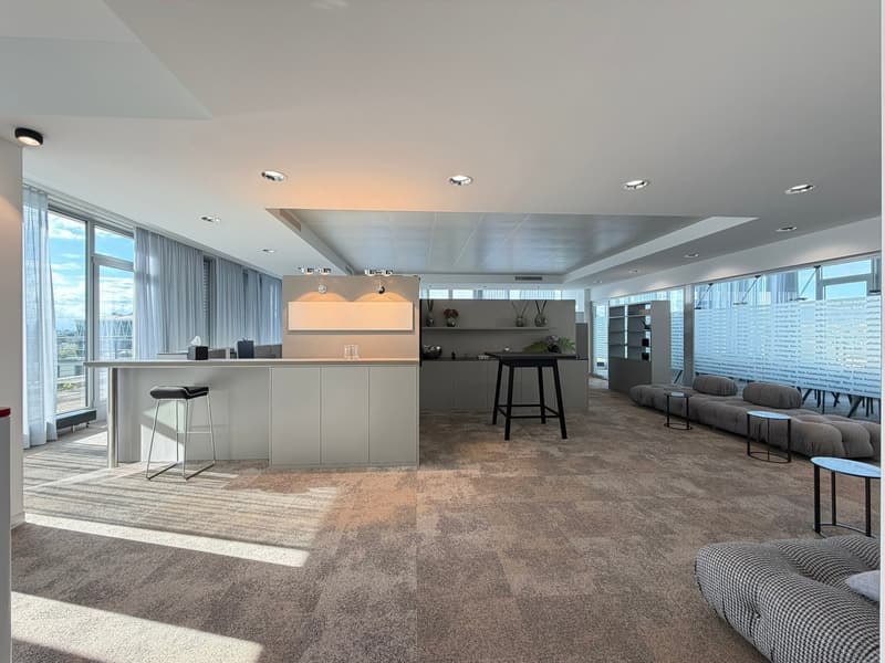 Espace de bureau en penthouse avec terrasse et places de parking (2)