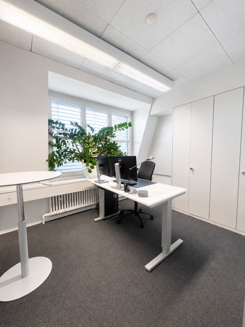Bezugsbereite Bürofläche mit Terrasse und Parkplätzen (3)