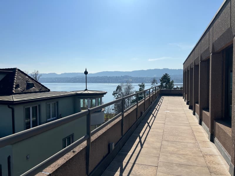 PLUG & WORK - Eigenes Geschäftshaus mit Terrasse und vielen Parkplätzen (7)