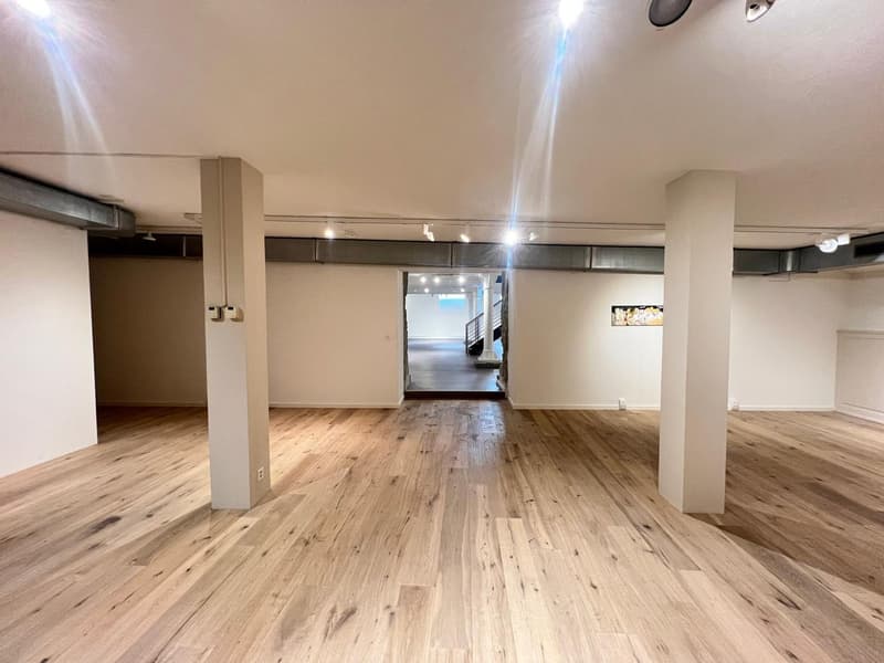 Exklusiver Verkaufs- / Showroomfläche an bester Lage im Zürcher Seefeld (8)