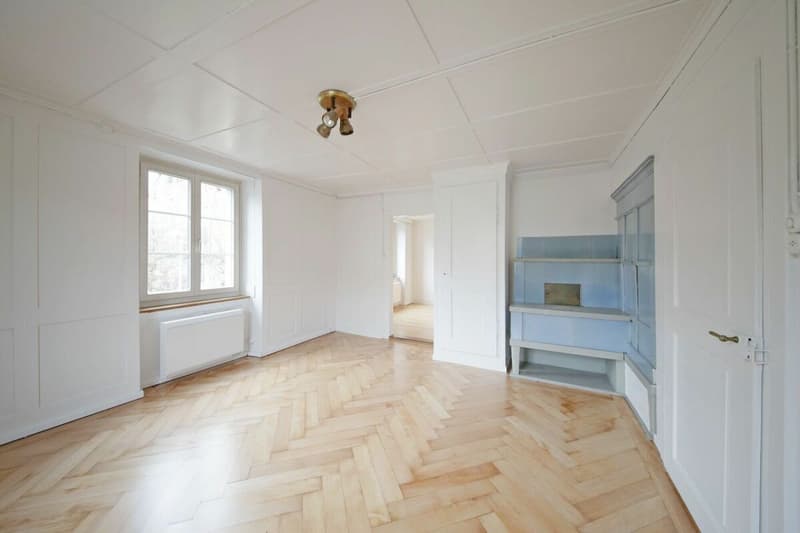 Appartamento di 6 locali ristrutturato con molto charme e giardino privato! (4)