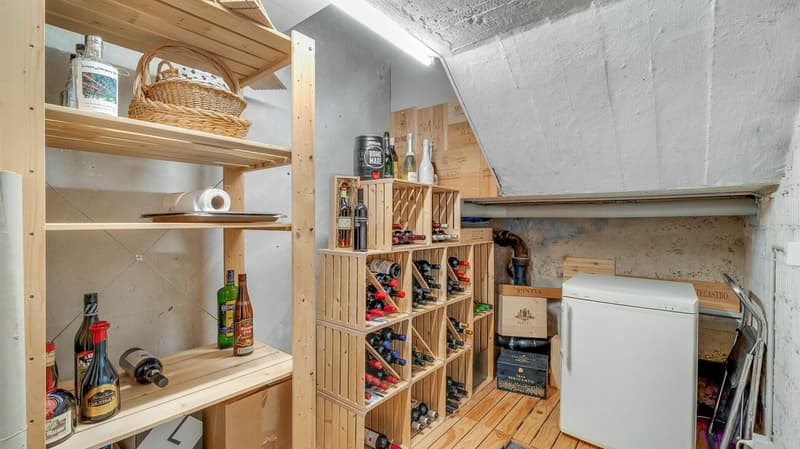 Charming property in a green setting with very high privacy! (14)