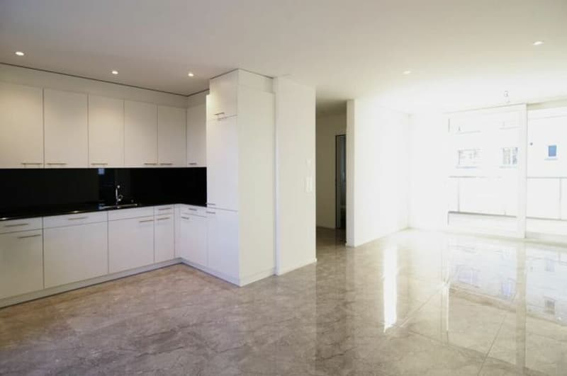 CHANCE - top modern apartment with high standard (1)