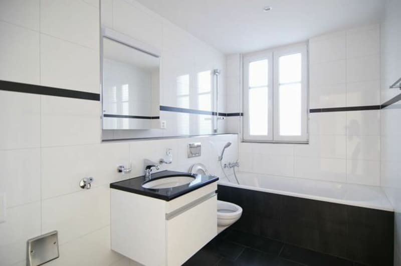 CHANCE - top modern apartment with high standard (4)