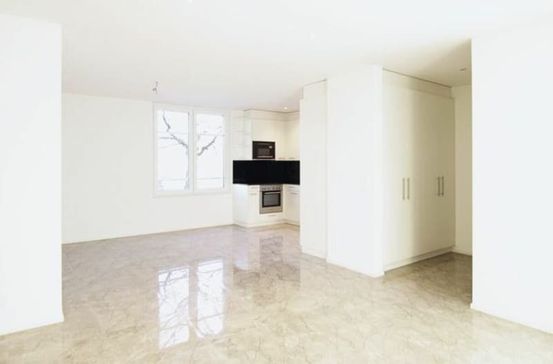 CHANCE - top modern apartment with high standard (2)