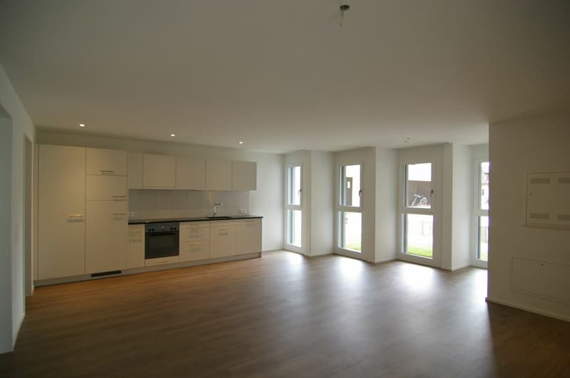 Designer apartment for singles and couples (2)