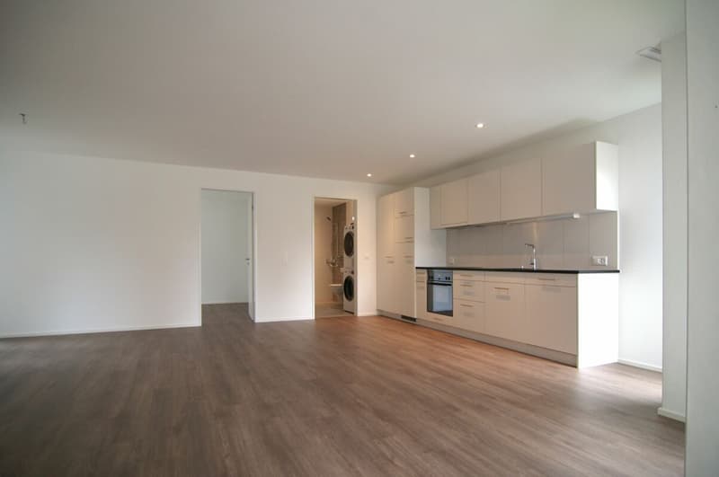 Designer apartment for singles and couples (1)