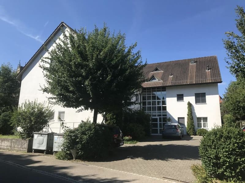 Grosszügige Dachwohnung mit 5 m Raumhöhe! (1)