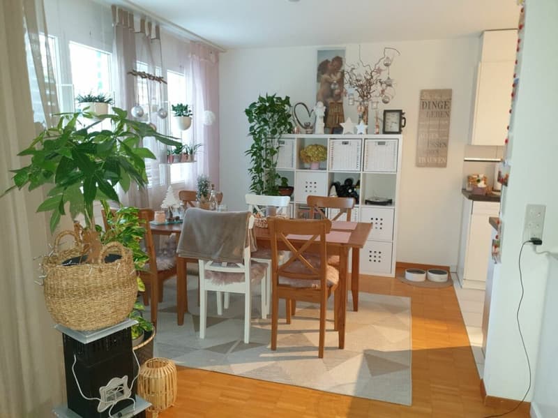 Top 3.5 Zimmer-Eigentumsstandardwohnung an ruhiger und sehr zentraler Lage (2)