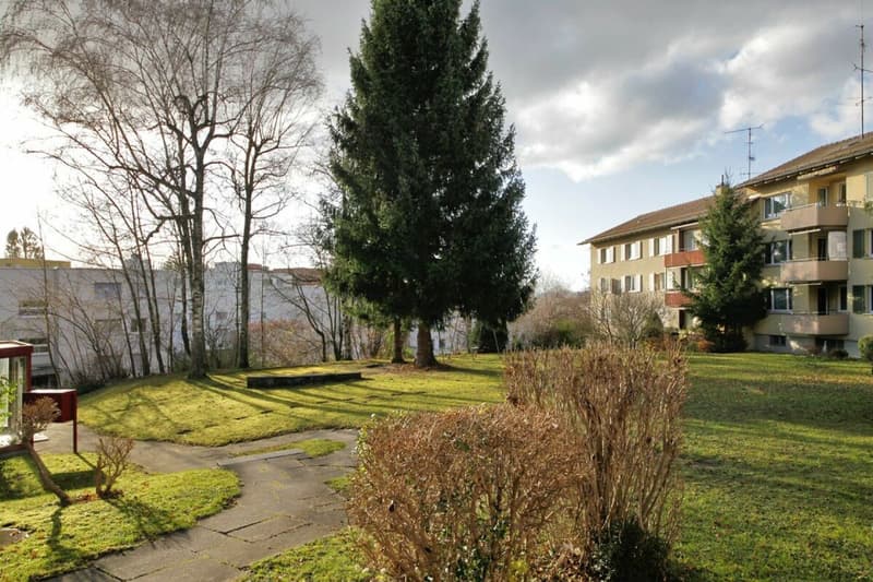 Helle 3-Zimmer-Wohnung mit sonnigem Südwest-Balkon (2)