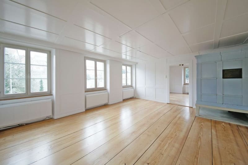 Renovierte 6-Zimmerwohnung mit viel Charme und privatem Garten! (4)