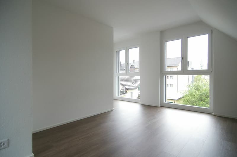 4.5 Zimmer Designer Wohnung zu vermieten (5)
