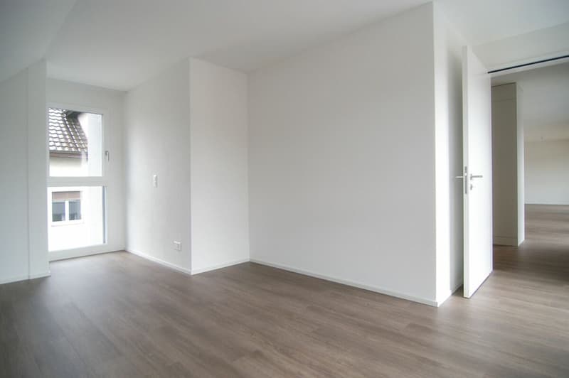 4.5 Zimmer Designer Wohnung zu vermieten (4)
