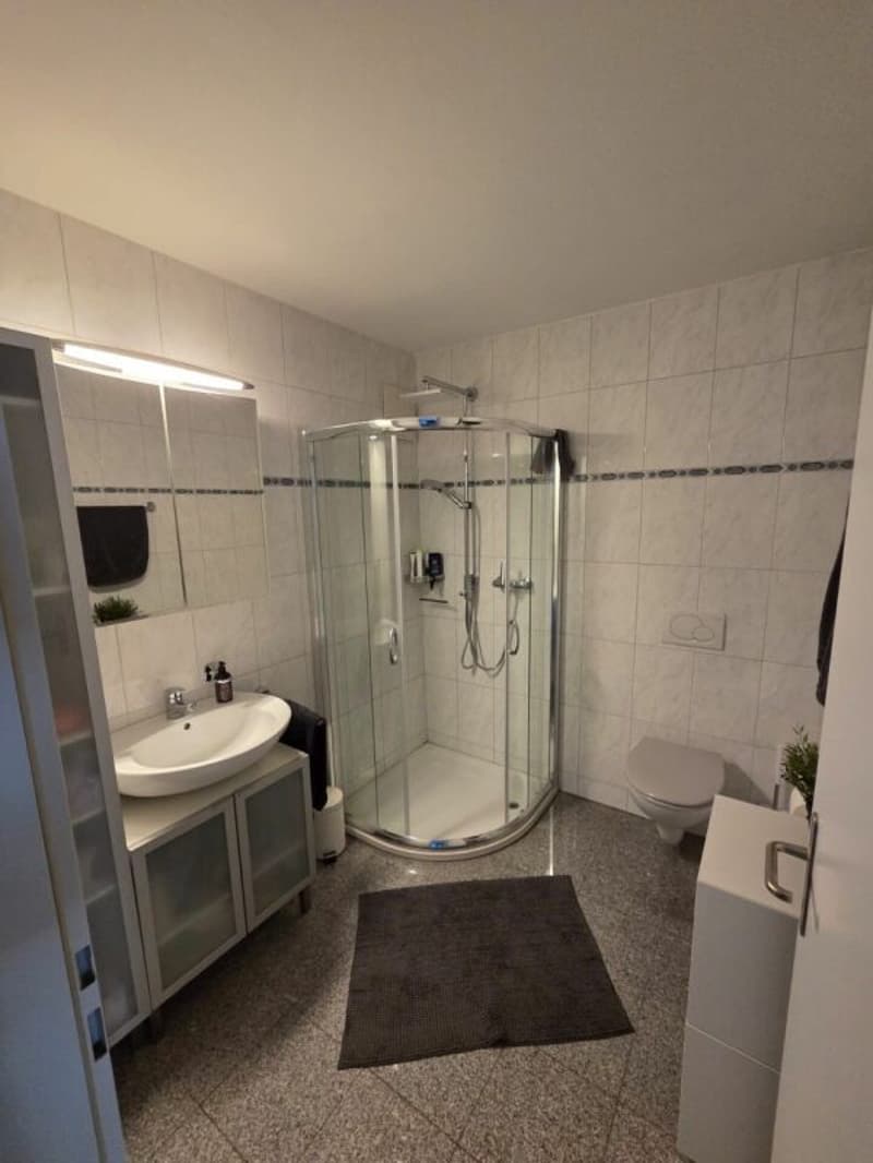 Wunderschöne 4.5-Gartenwohnung im Eigentumsstandard mit Cheminée an sehr ruhiger und südlicher Lage (7)
