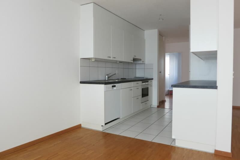 Möblierte 1.0 Zimmer Wohnung an der Landvogt-Waserstr. 79 (3)
