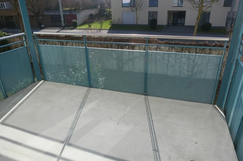 Möblierte 1.0 Zimmer Wohnung an der Landvogt-Waserstr. 79 (5)