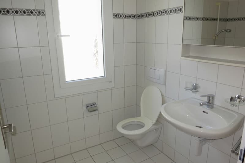 Möblierte 1.0 Zimmer Wohnung an der Landvogt-Waserstr. 79 (6)