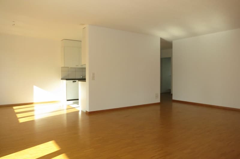 Möblierte 1.0 Zimmer Wohnung an der Landvogt-Waserstr. 79 (4)
