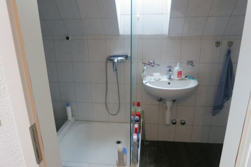 Gemütliche und möblierte 1.5-Zimmerwohnung in Winterthur (6)