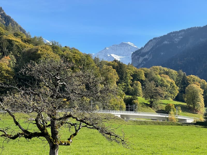 Ausblick aus dem Garten