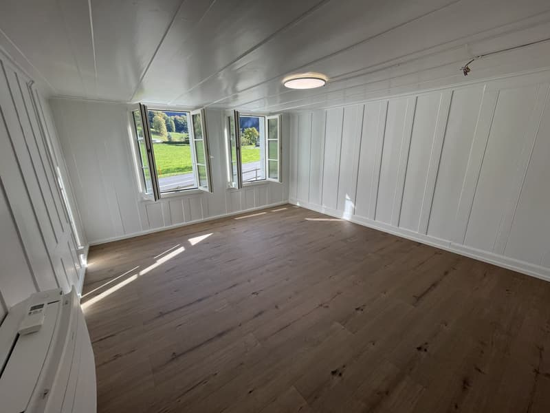 Wohnzimmer Sicht Richtung Fenster
