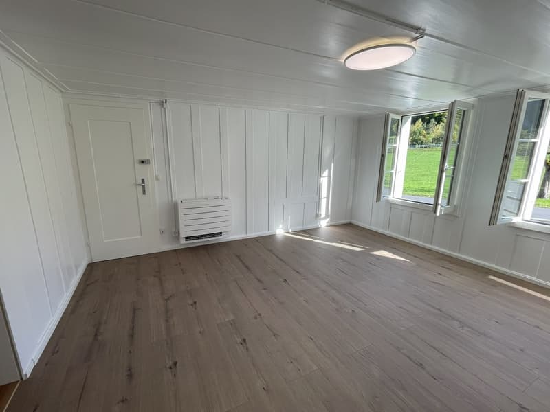 Wohnzimmer Blick Richtung Wohnungseingangstüre