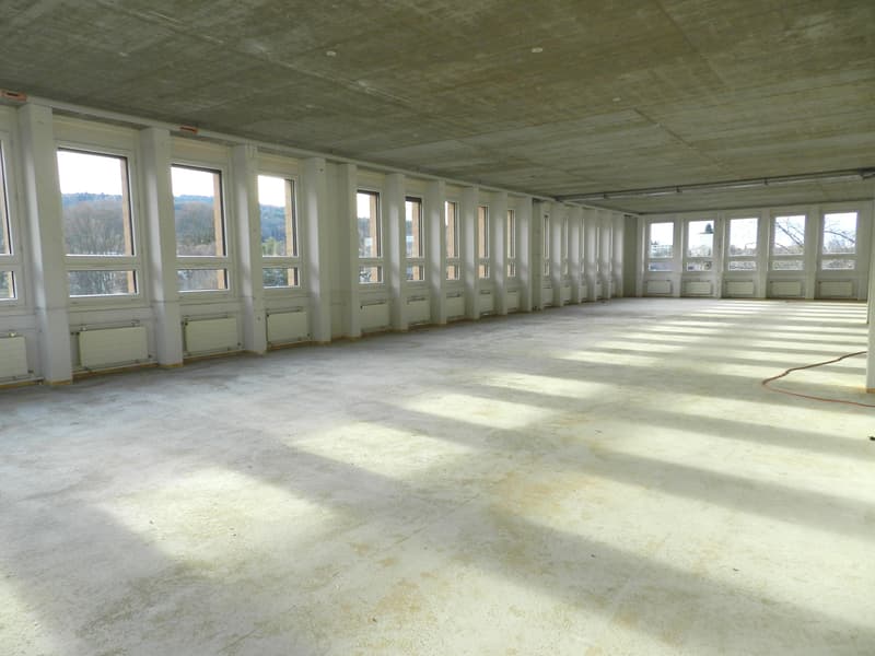 Espace de bureau flexible en état brut, 4e étage à Freilager Zurich (3)