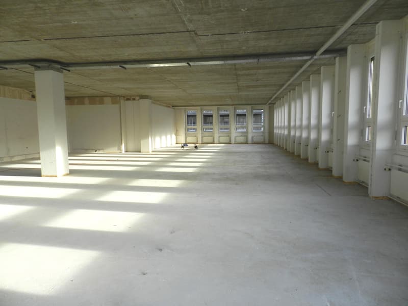 Espace de bureau flexible en état brut, 4e étage à Freilager Zurich (4)