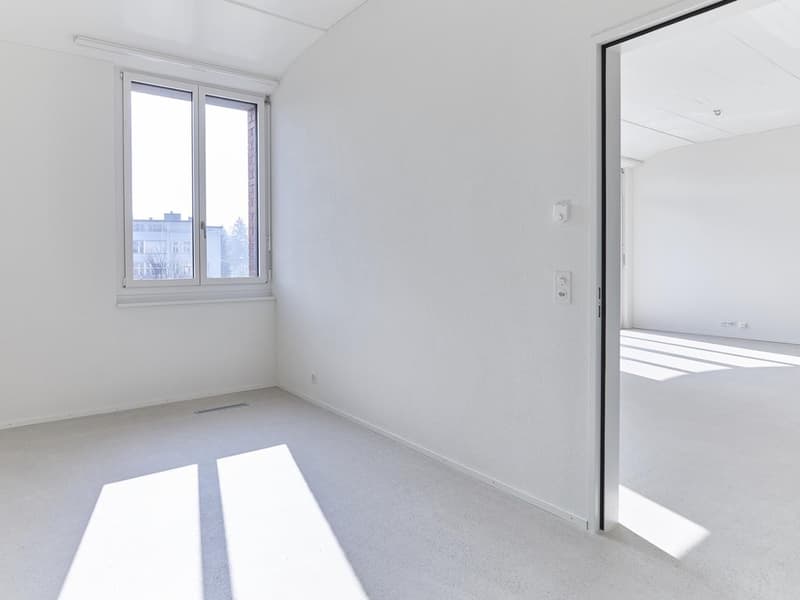 Modernes Wohnerlebnis: 164 m² mit offenem Konzept (5)