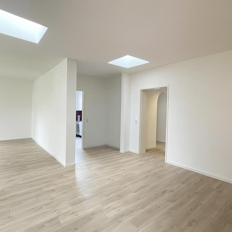 Living above the roofs of Freilager, 5.5 rooms with large terrace (3)