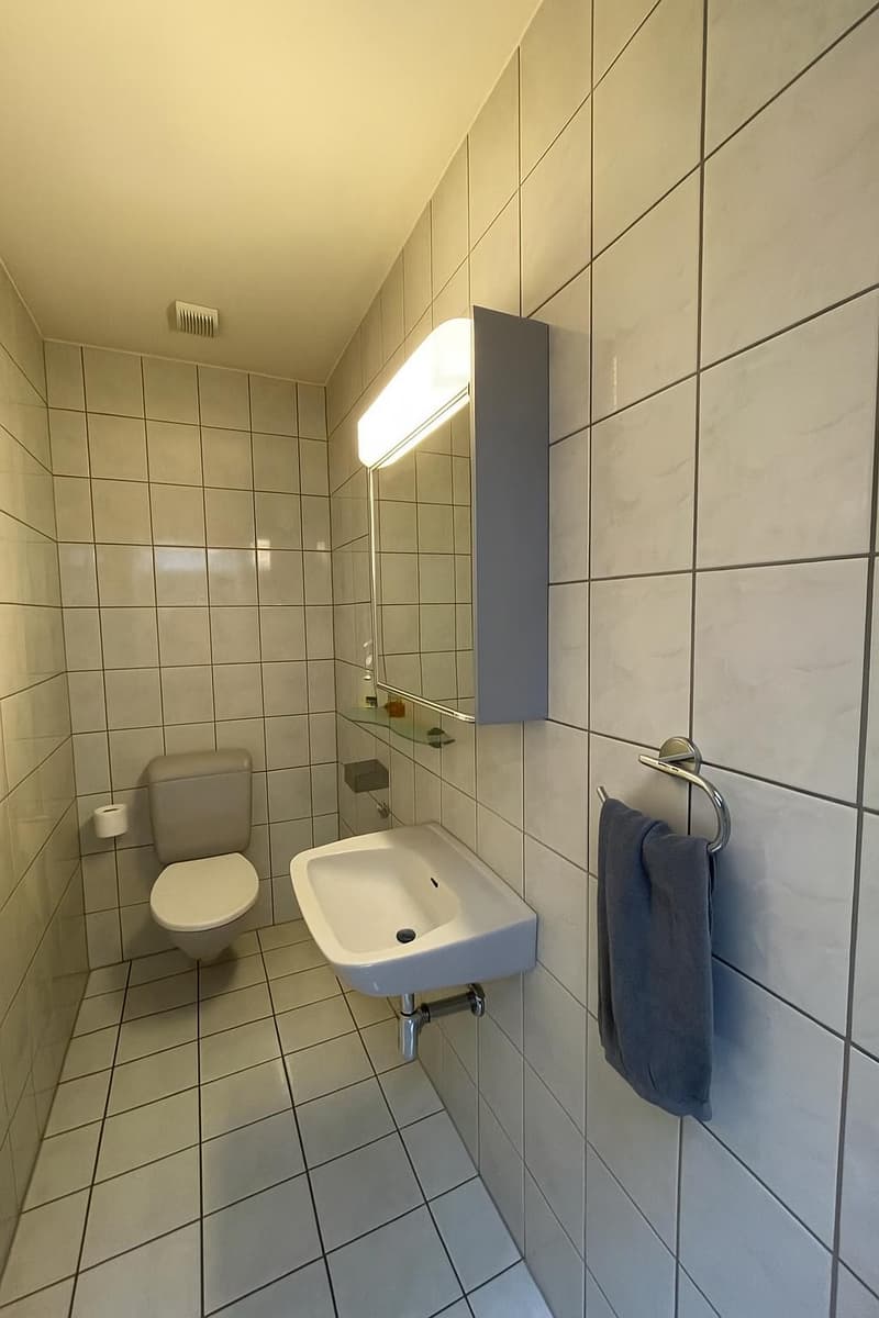 Living above the roofs of Freilager, 5.5 rooms with large terrace (8)
