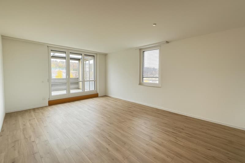Living above the roofs of Freilager, 5.5 rooms with large terrace (4)